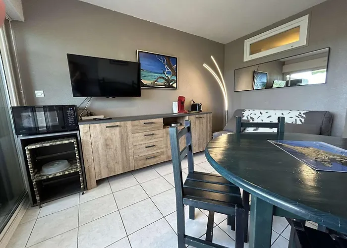 Appt 2p 6 Pers Avec Piscine Et Parking A Port Camargue - Fr-1-250-288